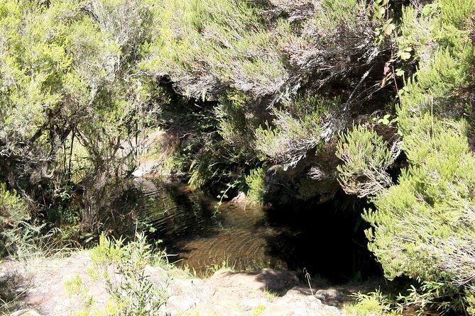 madeira-lakes-levada-do-alecrim
