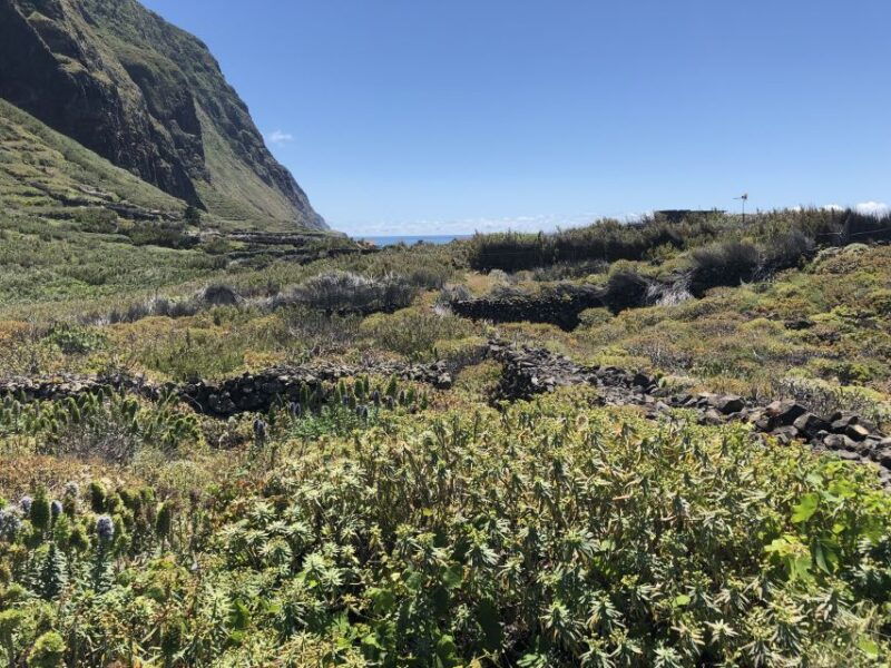 madeira-private-guided-half-day-tour-of-northwest-madeira-3
