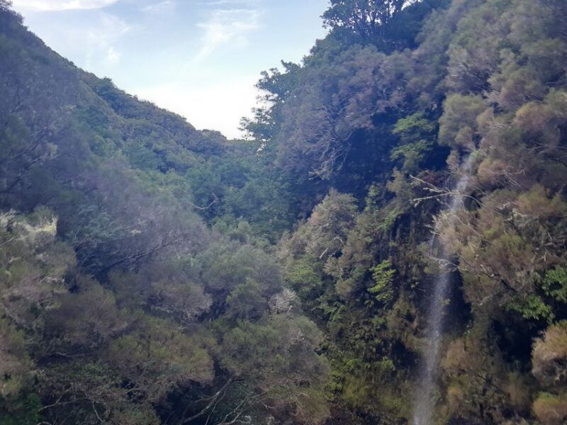 madeira-private-walking-tour-of-levada-das-25-fontes-pr6
