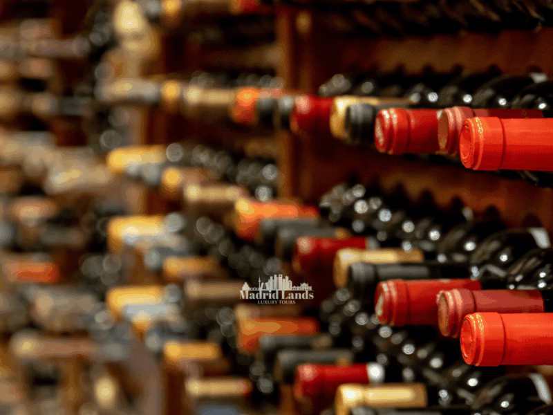madrid-luxury-winery-emilio-moro-tour