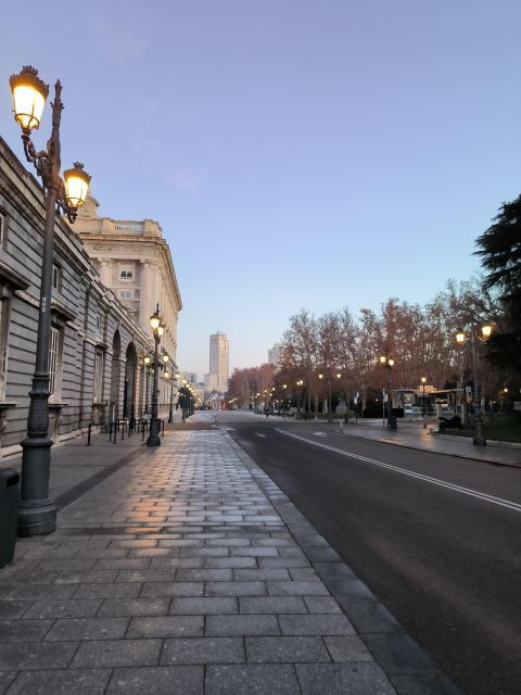 madrid-royal-palace-private-tour-with-skip-the-line-tickets