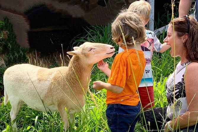 magical-creatures-sanctuary-private-tour
