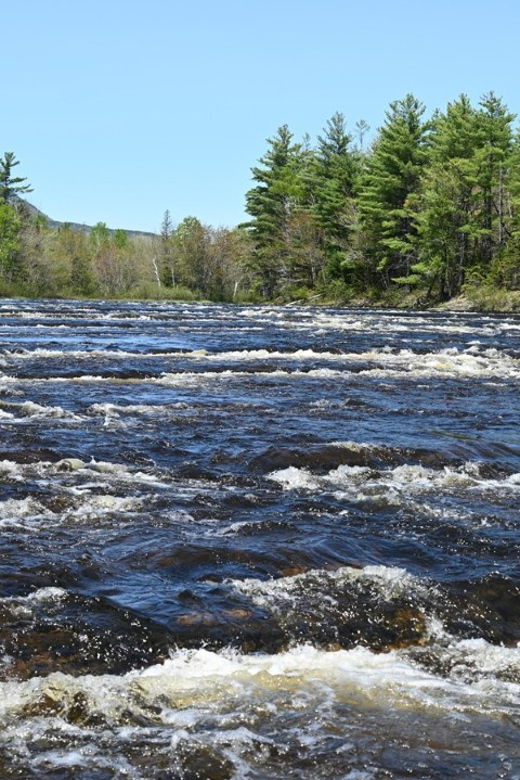 maine-penobscot-downriver-boat-rides