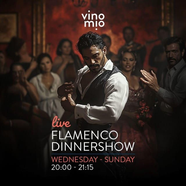 malaga-authentic-flamenco-dinner-show-at-vino-mio