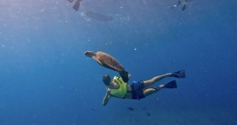 malaga-boat-tour-w-snorkeling-water-activities-and-lunch