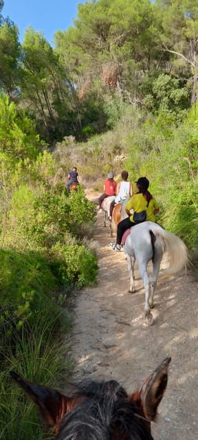 mallorca-activity-antique-mallorca-with-picnic