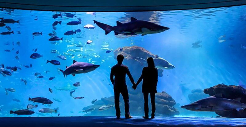 mallorca-palma-aquarium-entry-ticket-w-optional-3d-cinema