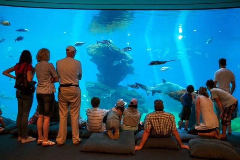 mallorca-palma-aquarium-tickets-with-transfer