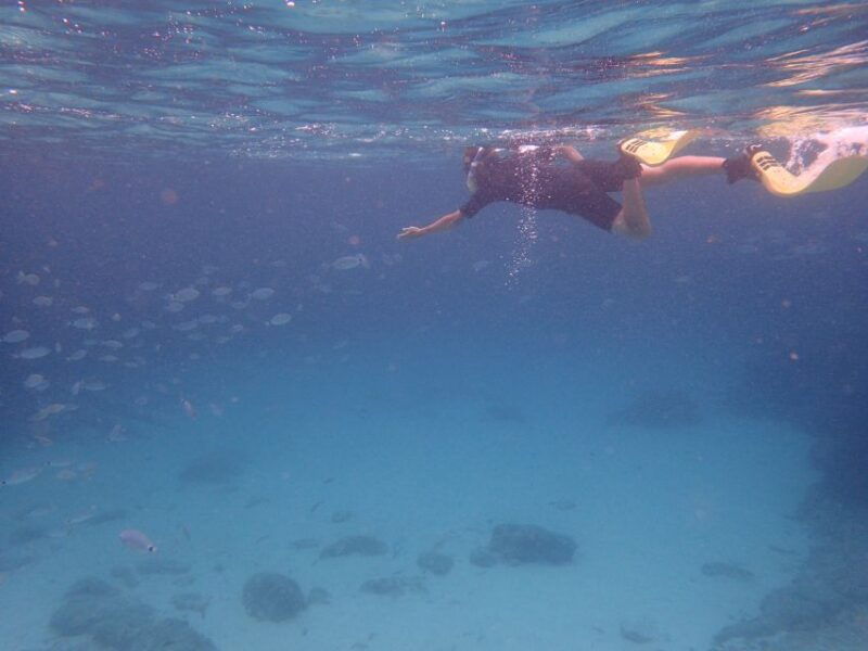 mallorca-snorkeling-in-a-beautiful-nature-reserve-2
