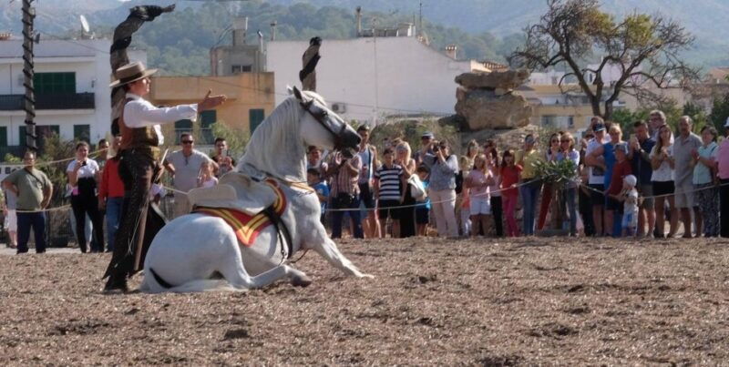 mallorca-sunset-spanish-riding-school-show
