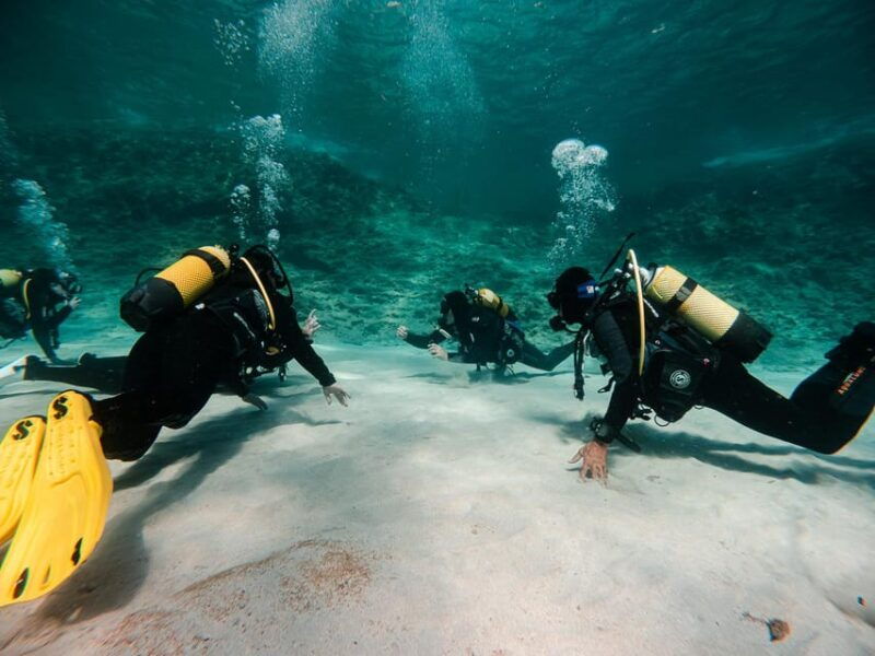 mallorca-try-scuba-diving-by-boat