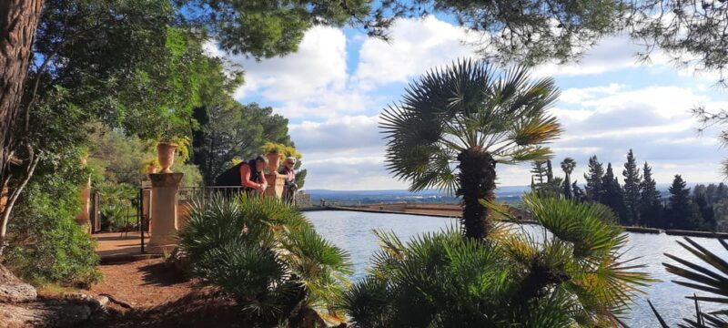 mallorca-west-coast-orange-valley-minibus-tour-german-guide