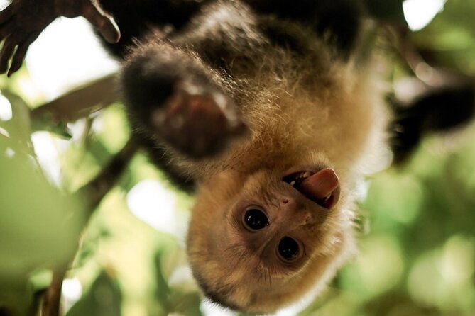 manuel-antonio-national-park-2