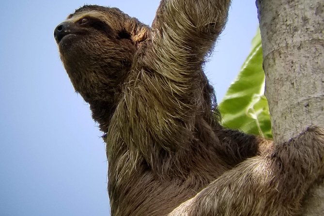manuel-antonio-park-nature-guided-tour