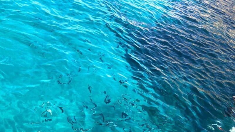 marseille-calanques-national-park-eco-friendly-cruise