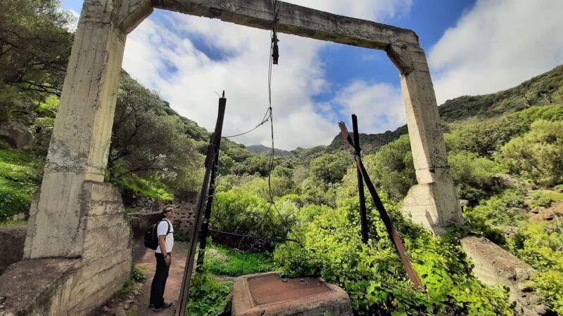 maspalomas-barranco-de-los-cernicalos-rainforest-hike