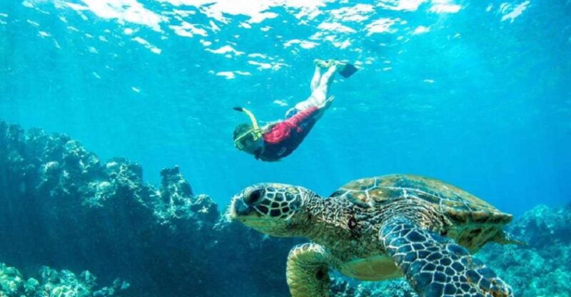 maui-kaanapali-beach-5-hr-snorkel-w-bbq-lunch-open-bar