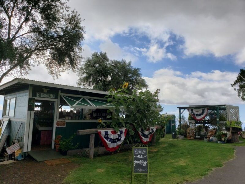 maui-road-to-hana-adventure-with-breakfast-lunch