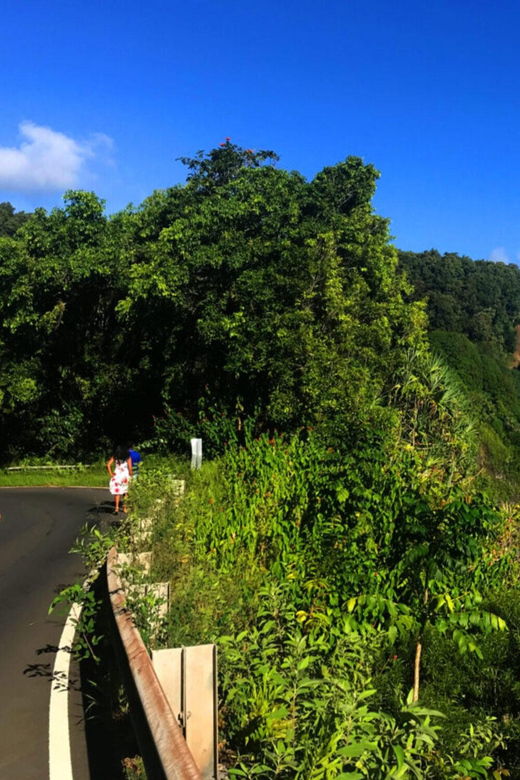 maui-west-maui-tour-with-breakfast-and-lunch