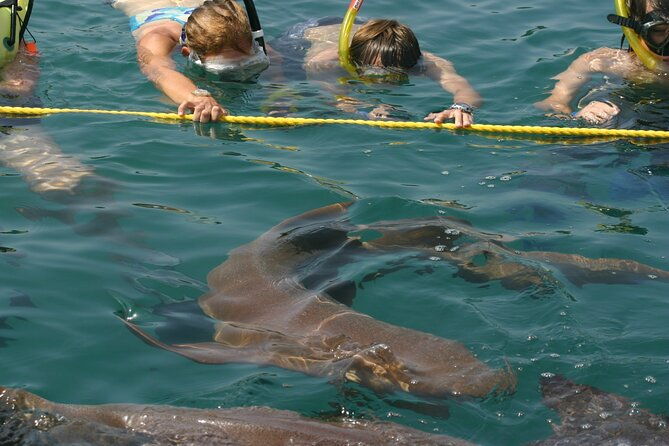 maya-culture-and-history-secluded-island-and-animal-rescue-center-at-maya-key