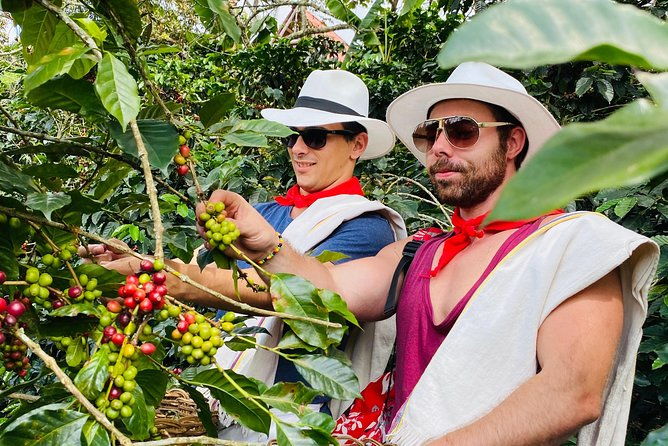 medellin-coffee-tour-with-transfer
