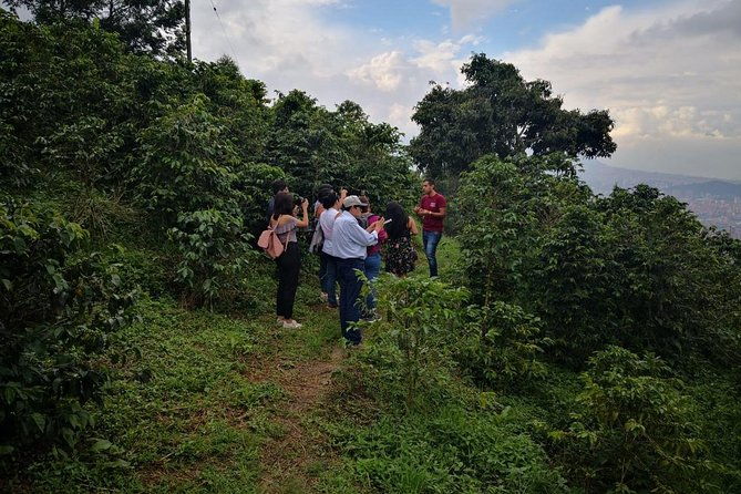 medellin-coffee-tour