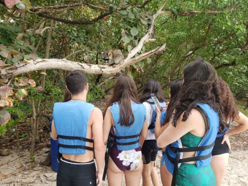 miami-beginner-friendly-island-snorkeling-by-sup-or-kayak