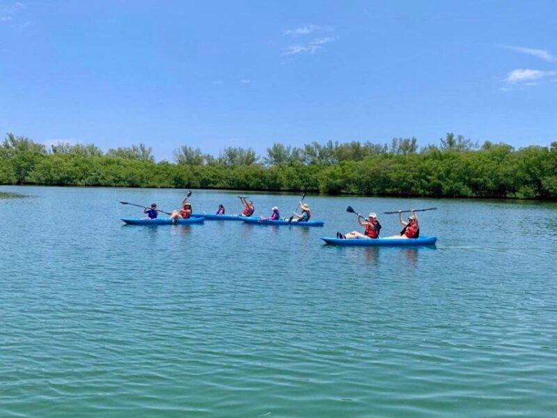 miami-manatee-season-paddleboard-or-kayak-tour
