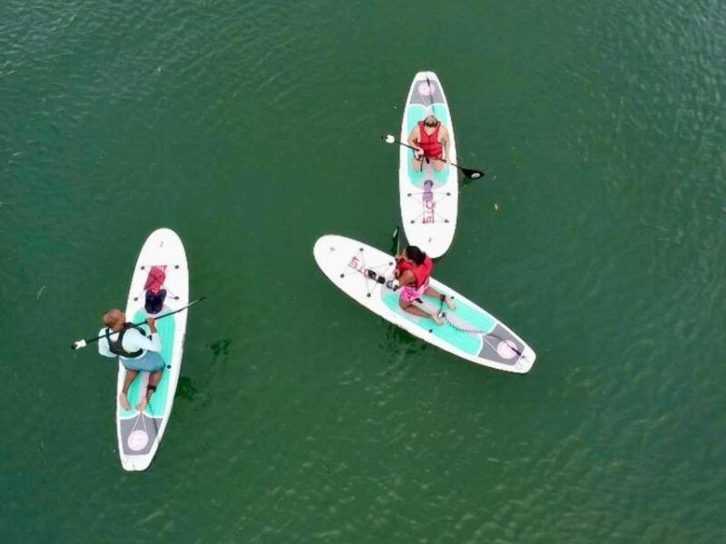 miami-paddle-board-or-kayak-rental-in-virginia-key