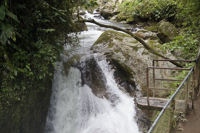 mindo-cloudforest-and-birdwatching-from-quito-by-ecuadortreasure