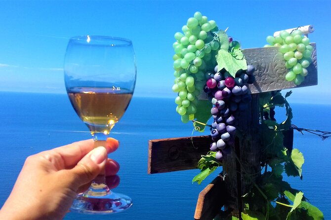 minitrekking-and-visit-of-the-cinque-terre-vineyard