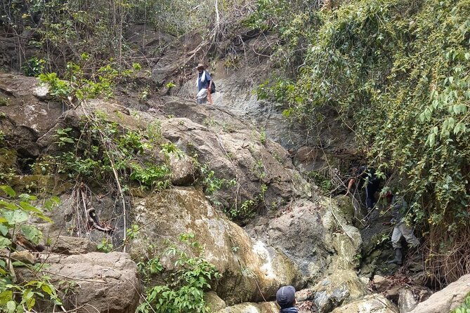 monkeys-creek-an-extreme-tropical-forest-hiking-adventure