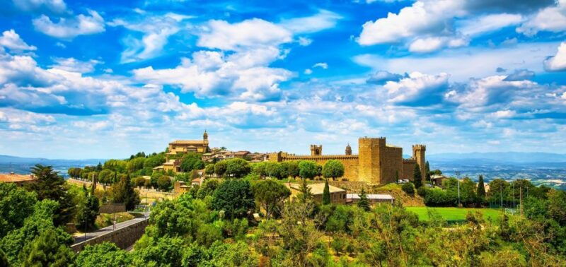 montalcino-castle-and-vineyards-tour-with-tasting-3