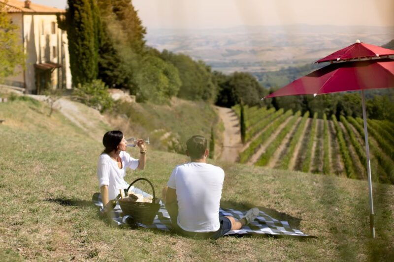 montalcino-vineyard-picnic-with-a-bottle-of-wine