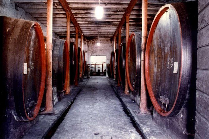 montefalco-historic-cellar-and-vineyard-tour-with-wine-tasting