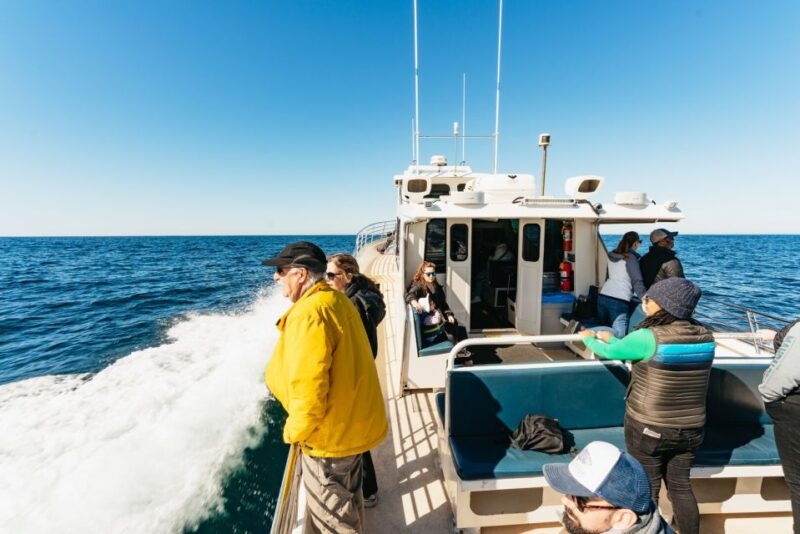 monterey-bay-whale-watching-tour