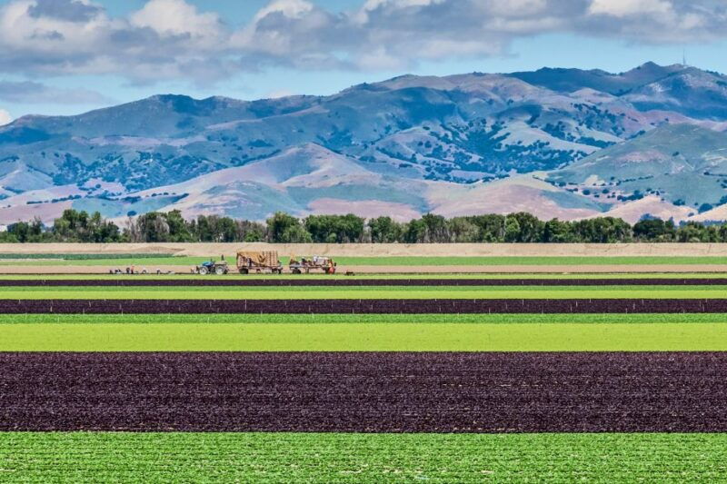 monterey-county-salinas-valley-farm-tour