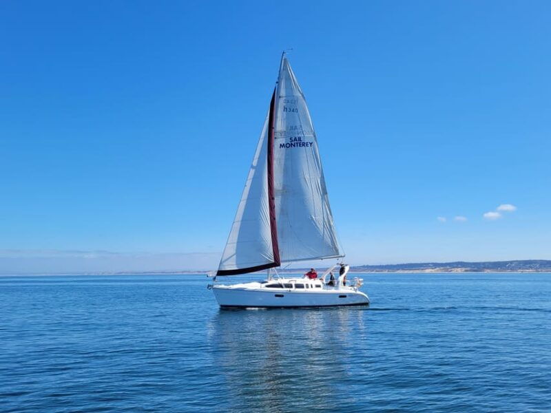 monterey-private-whale-watching-sailing-tour-for-6