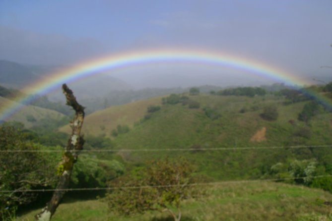 monteverde-cloud-forest-sloth-hanging-bridges-butterflies-tour