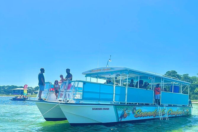morning-snorkel-dolphin-adventure