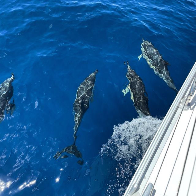 morro-jable-sailing-boat-excursion-with-food-and-drinks
