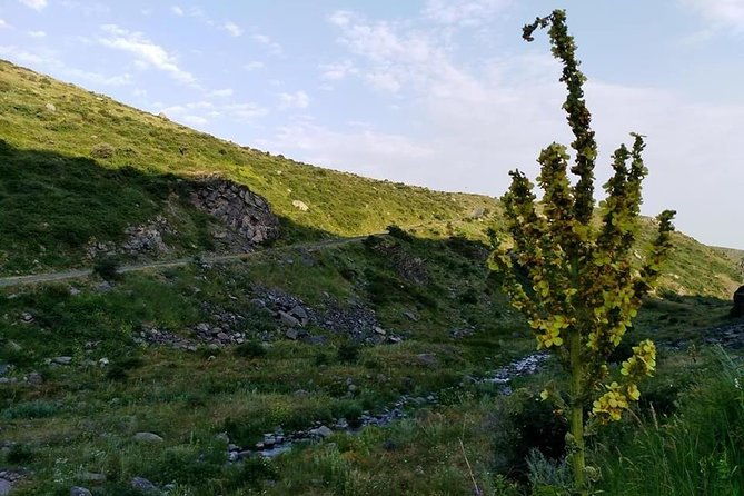 mount-aragats-amberd-fortress-saghmosavank-monastery-alphabet-private-tour