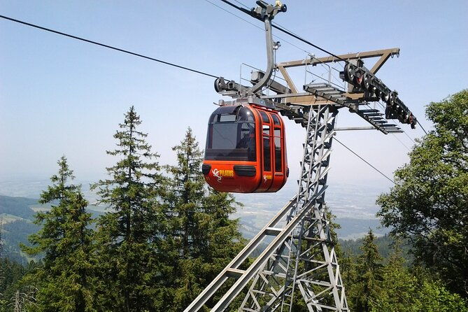 mount-pilatus-in-winter-small-group-tour-from-basel