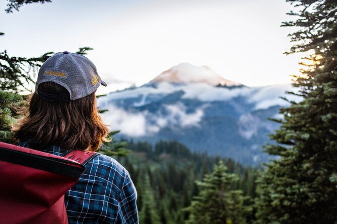mount-rainier-full-day-small-group-tour
