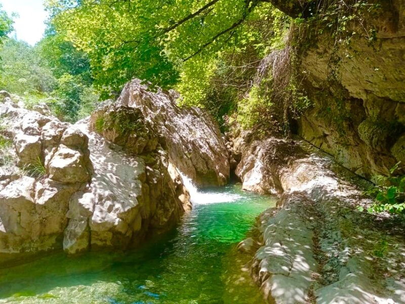 mountain-train-experience-hike-mystic-forest-from-nice