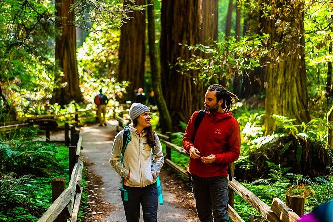 muir-woods-with-napa-sonoma-wine-tour-alcatraz-aquarium-access