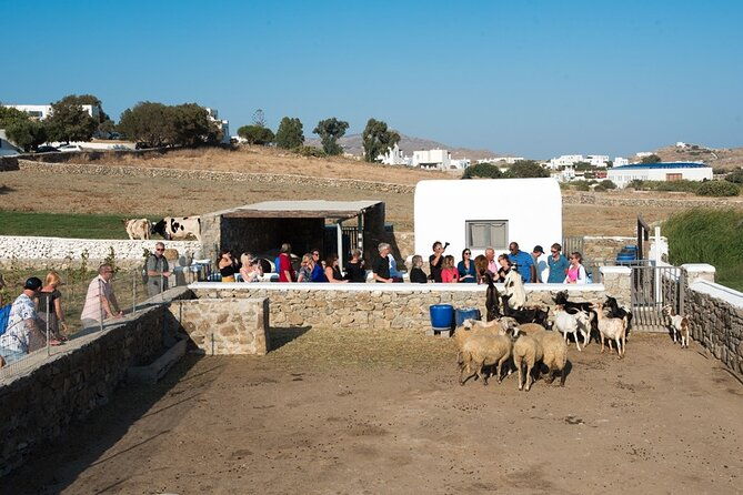 mykonian-farm-entrance-ticket