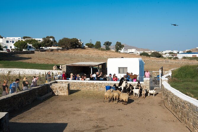 mykonian-farm-experience