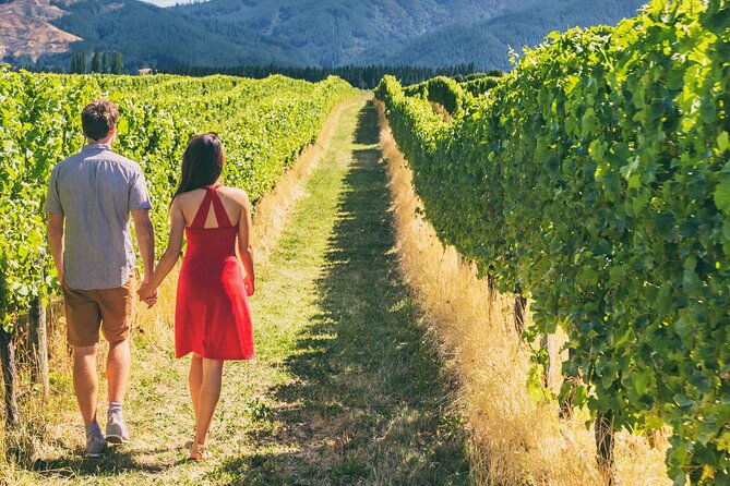 napa-valley-private-wine-transportation-up-to-6-passengers