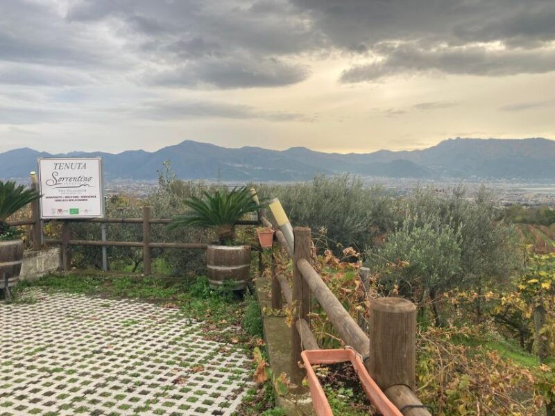 naples-to-pompeii-vesuvius-herculaneum
